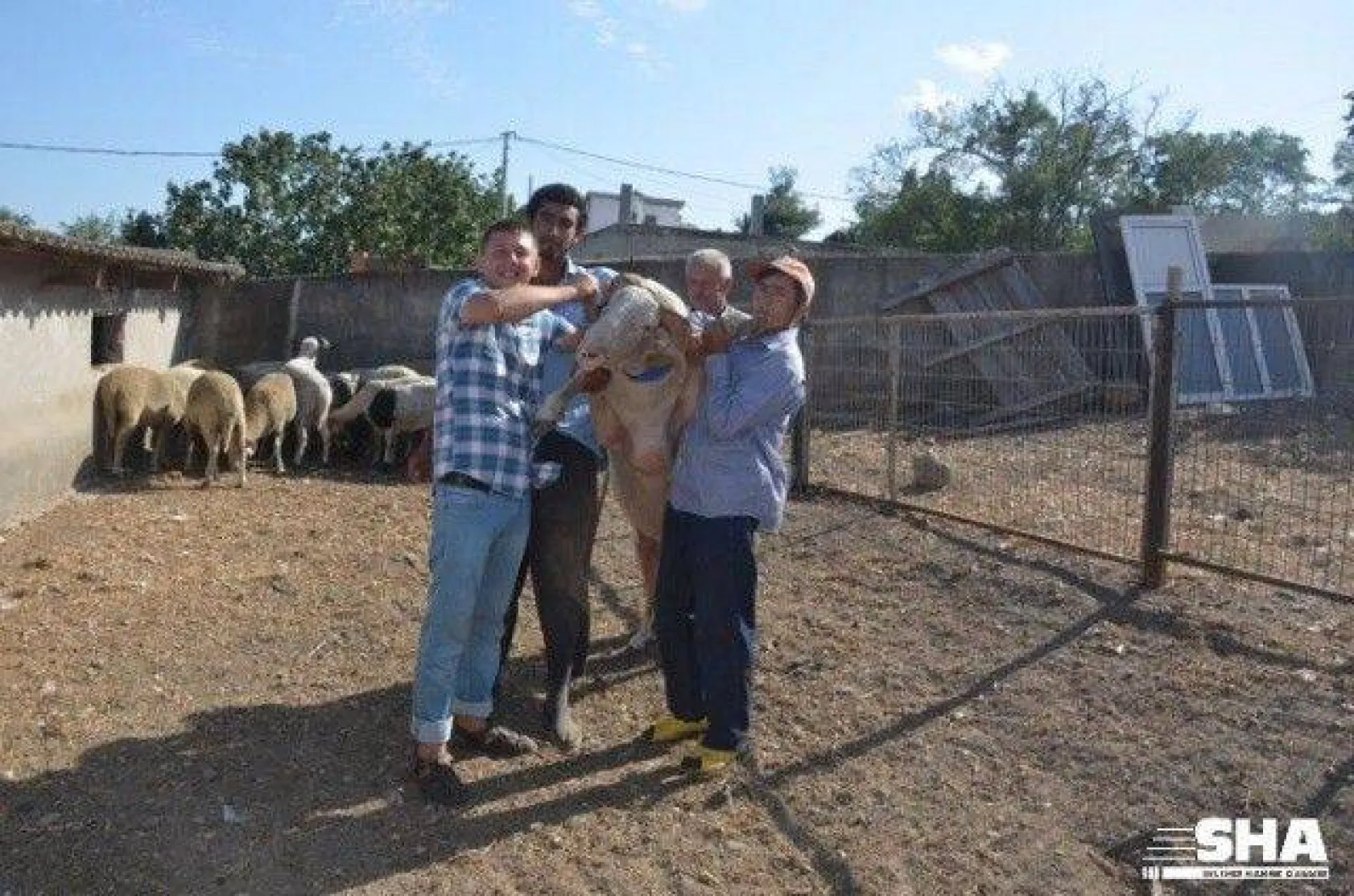 Kurbanlıkta 40 yıllık tecrübe 'Aktaş Çiftliği'