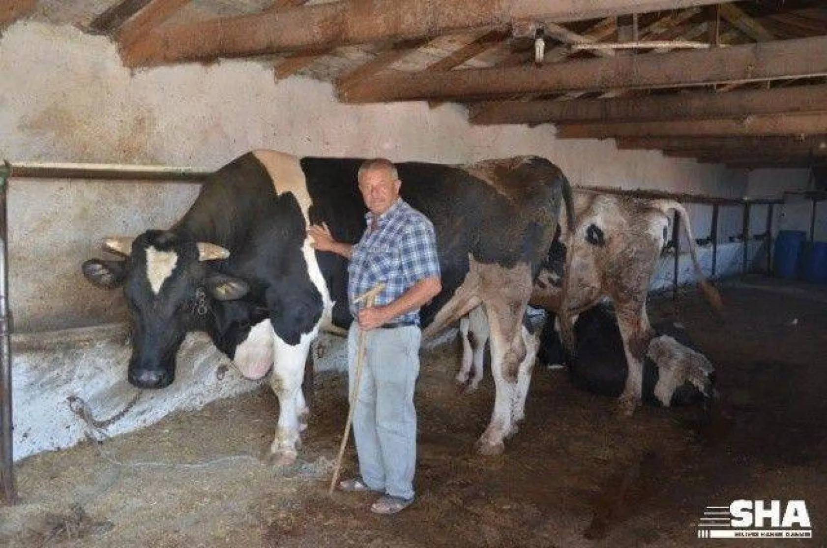 Kurbanlıkta 40 yıllık tecrübe 'Aktaş Çiftliği'