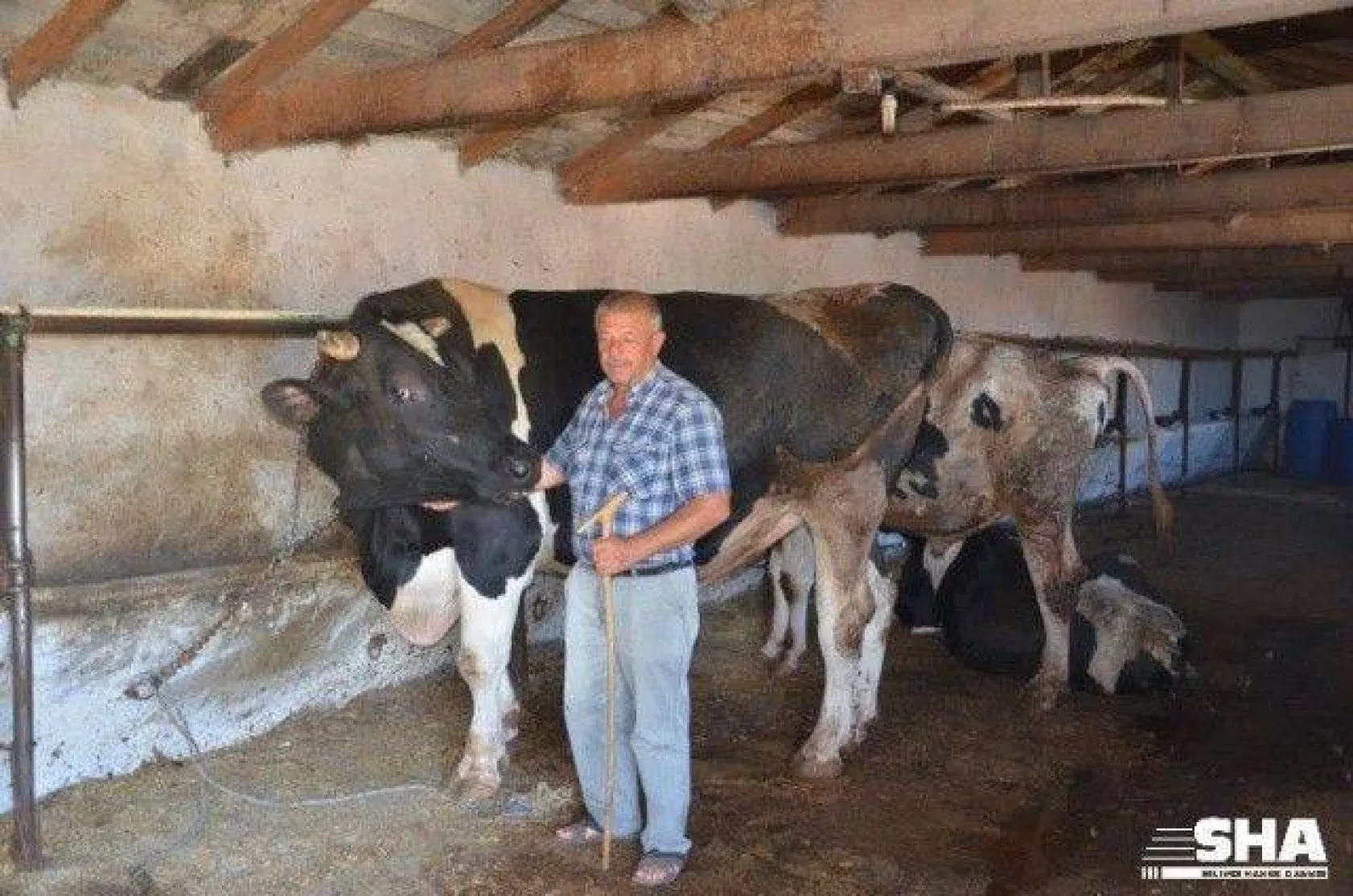 Kurbanlıkta 40 yıllık tecrübe 'Aktaş Çiftliği'