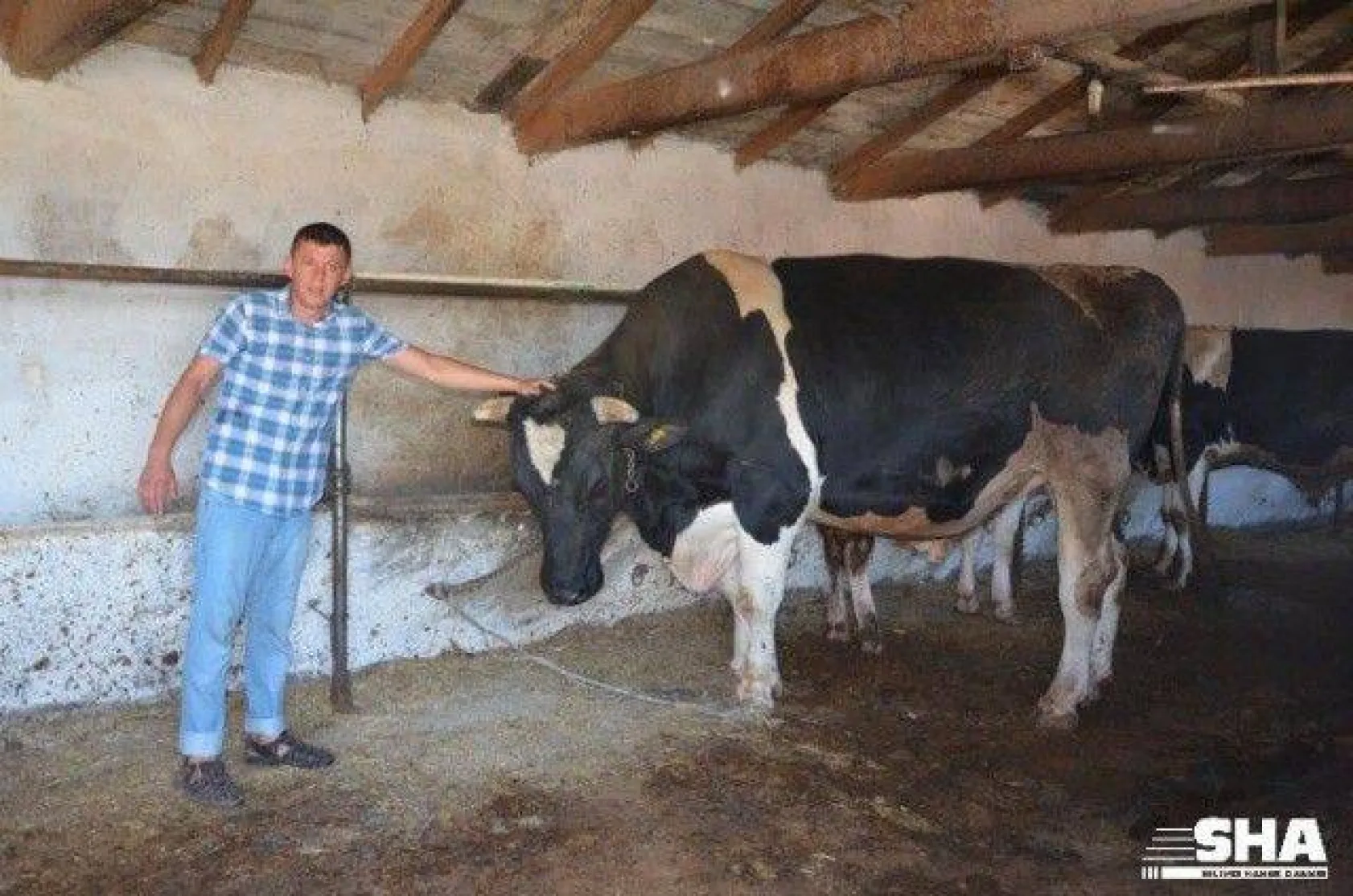 Kurbanlıkta 40 yıllık tecrübe 'Aktaş Çiftliği'