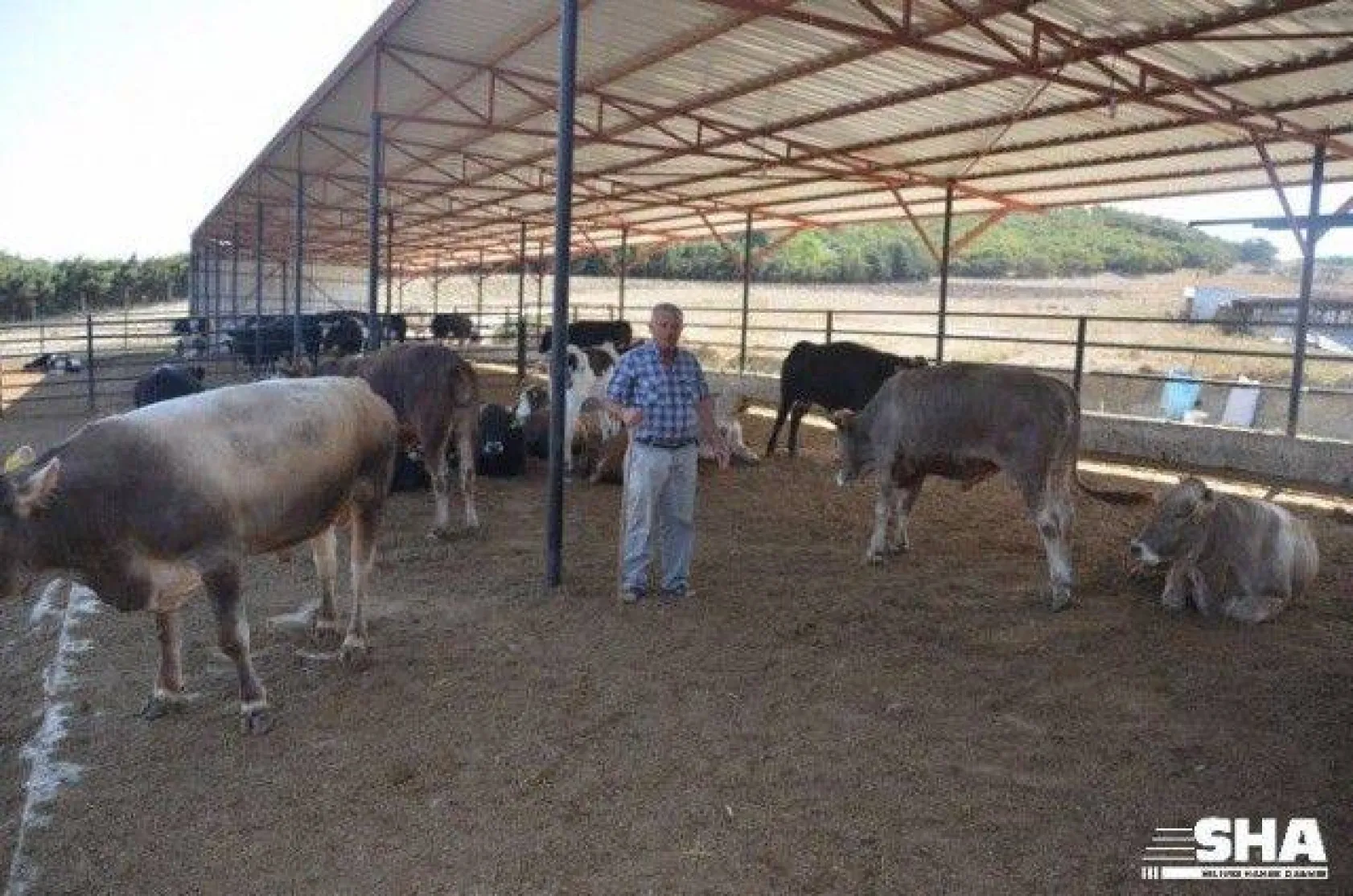 Kurbanlıkta 40 yıllık tecrübe 'Aktaş Çiftliği'