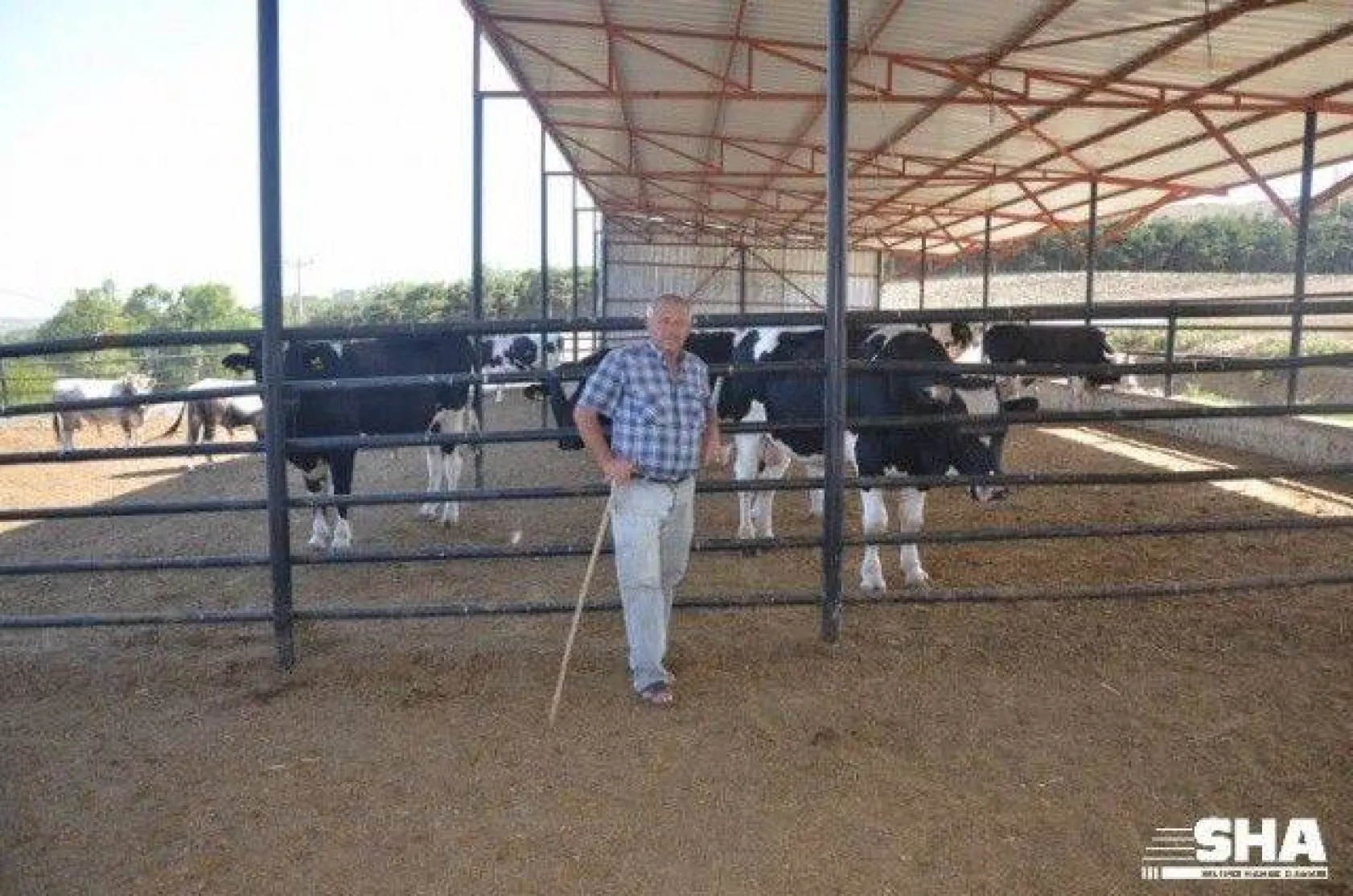 Kurbanlıkta 40 yıllık tecrübe 'Aktaş Çiftliği'