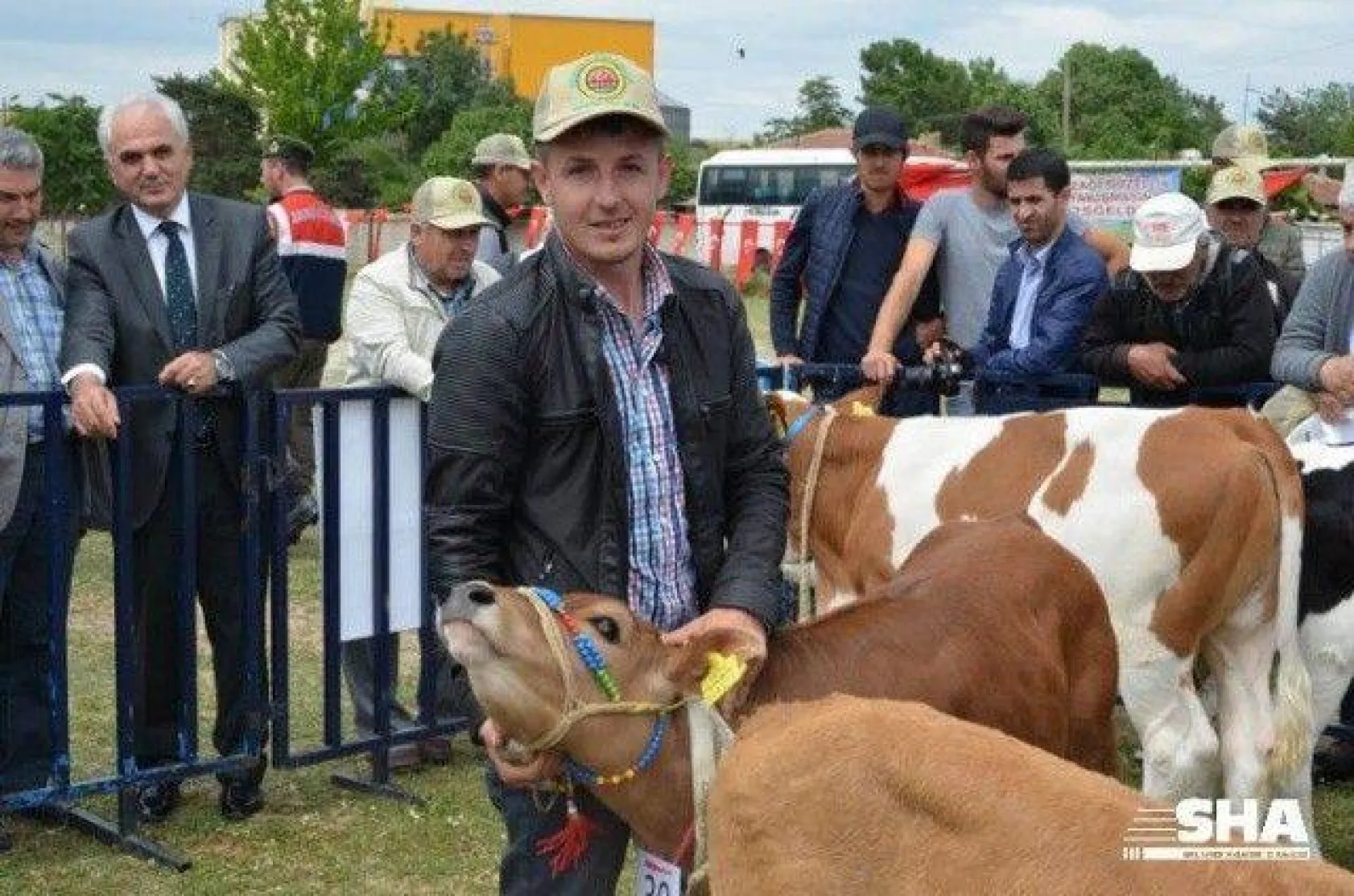 Silivri'nin en güzel buzağısı seçildi