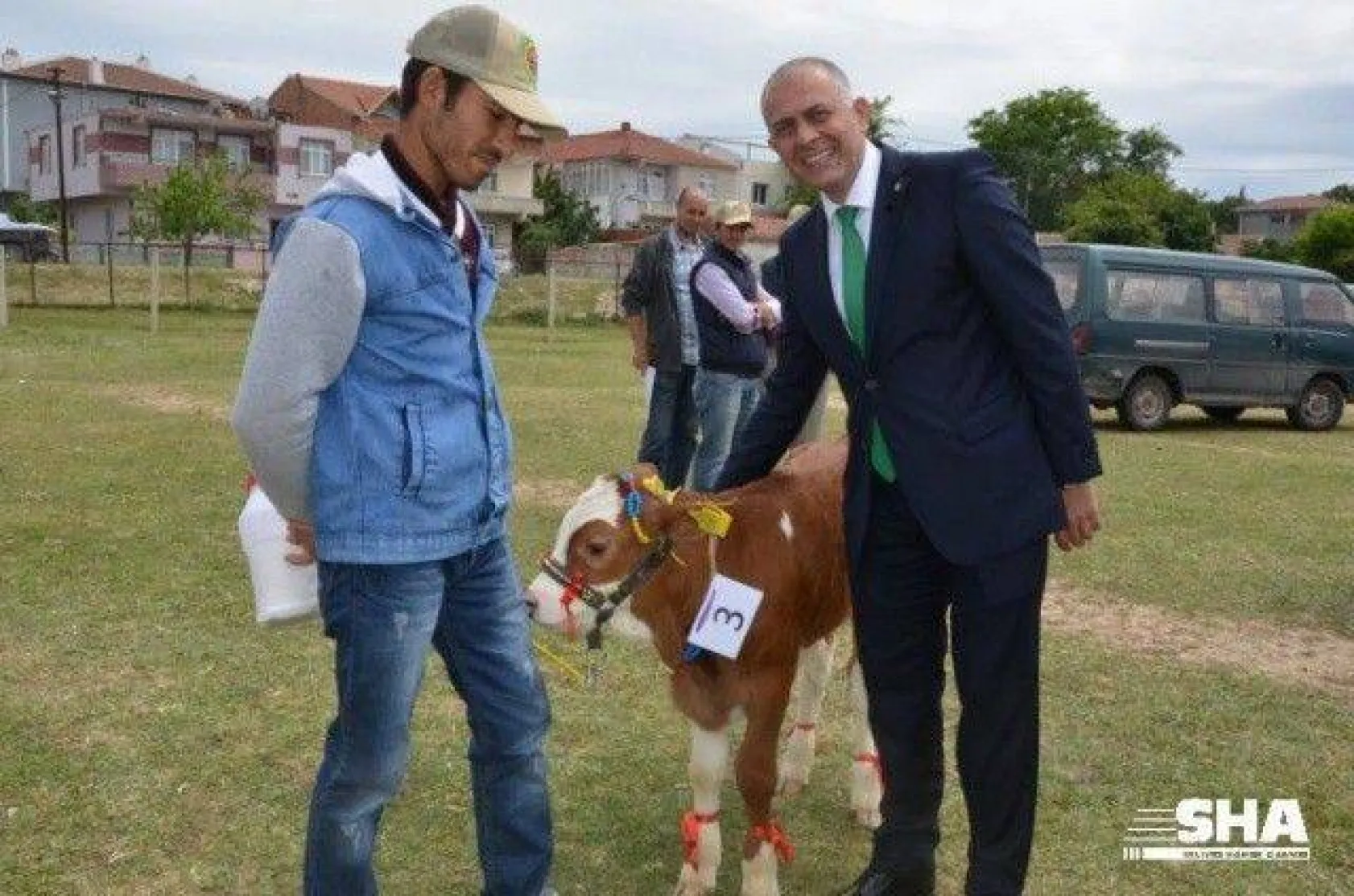 Silivri'nin en güzel buzağısı seçildi