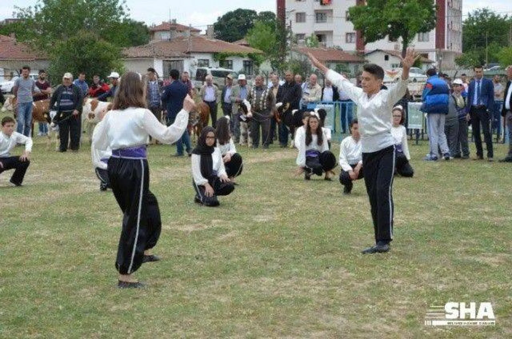 Silivri'nin en güzel buzağısı seçildi