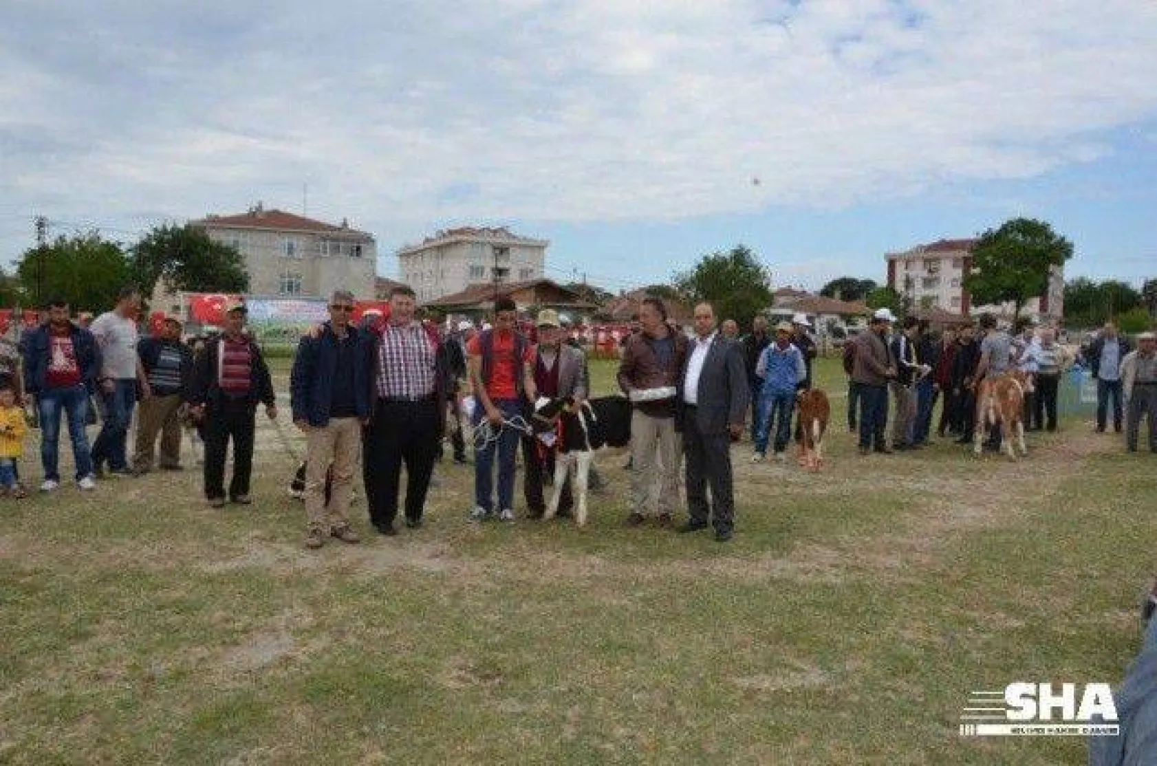 Silivri'nin en güzel buzağısı seçildi