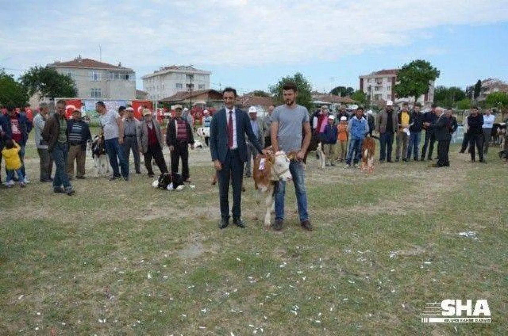 Silivri'nin en güzel buzağısı seçildi