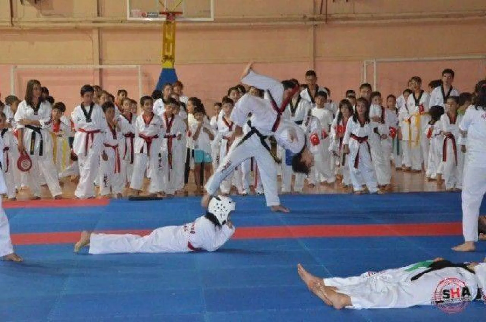 150 Sporcu yeni kuşaklarını bağladı