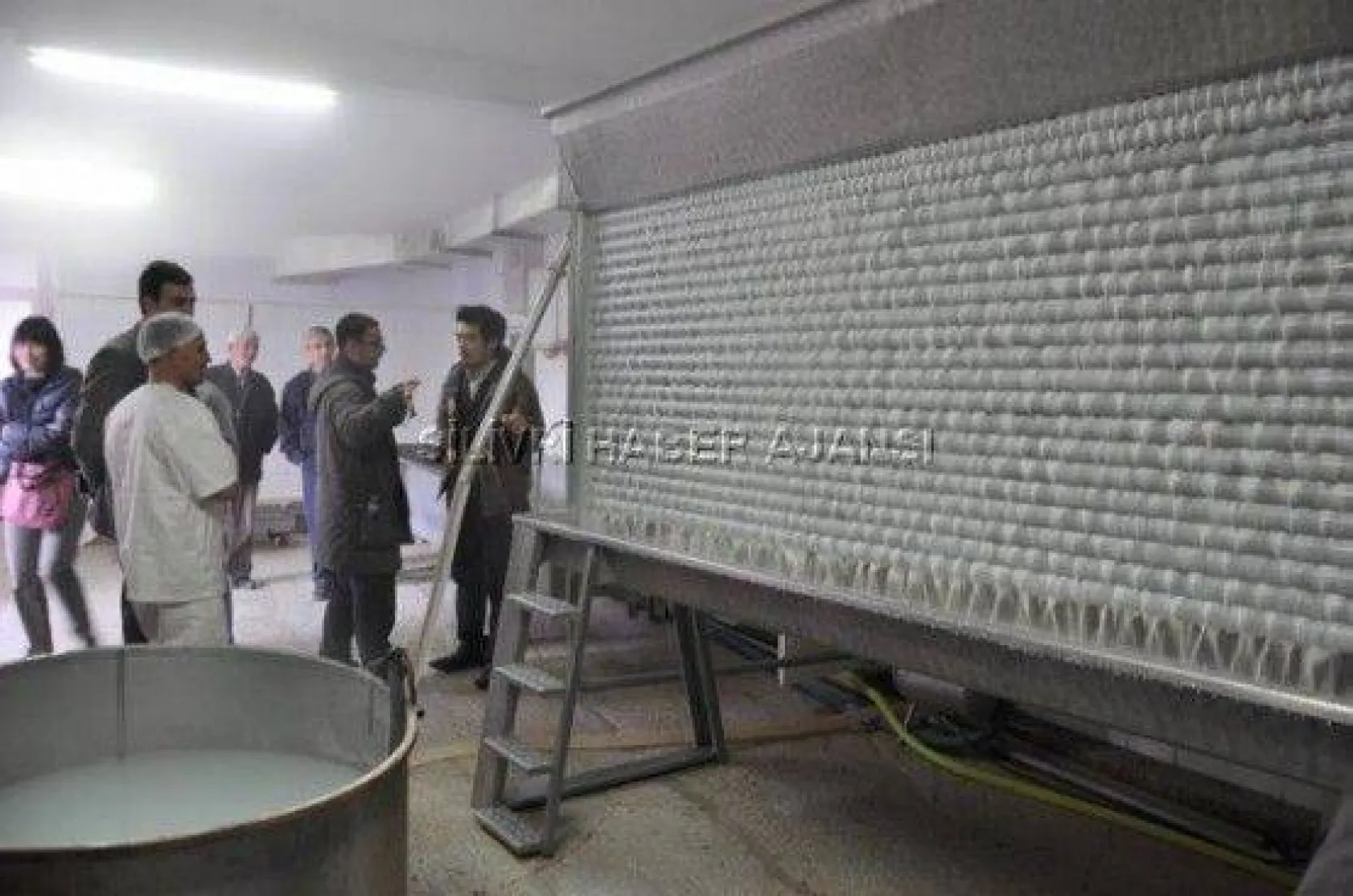 Japonlar Silivri Yoğurduna Hayran Kaldı