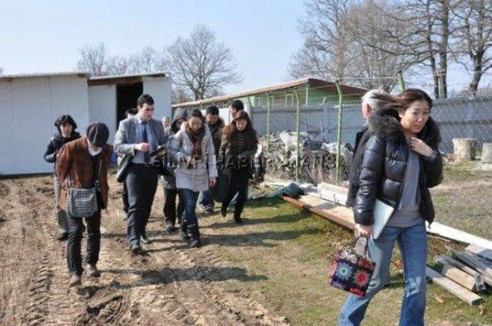 Japonlar Silivri Yoğurduna Hayran Kaldı