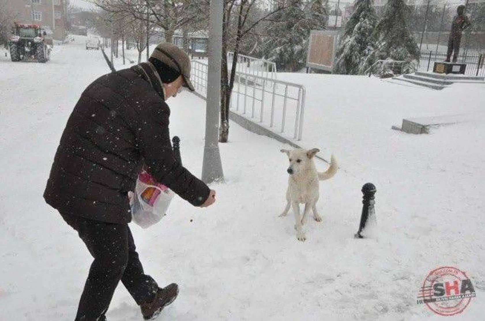 Silivri Belediyesi'nin karla mücadele çalışmaları