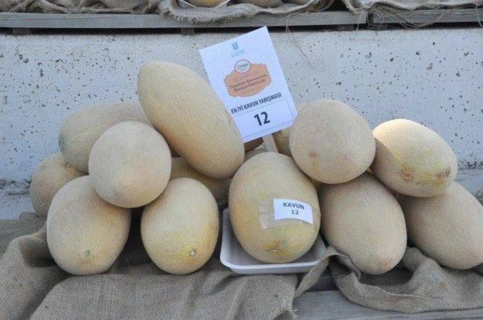 Selimpaşa'da En İyi Topatan Kavunu ve Bamya Yarışması