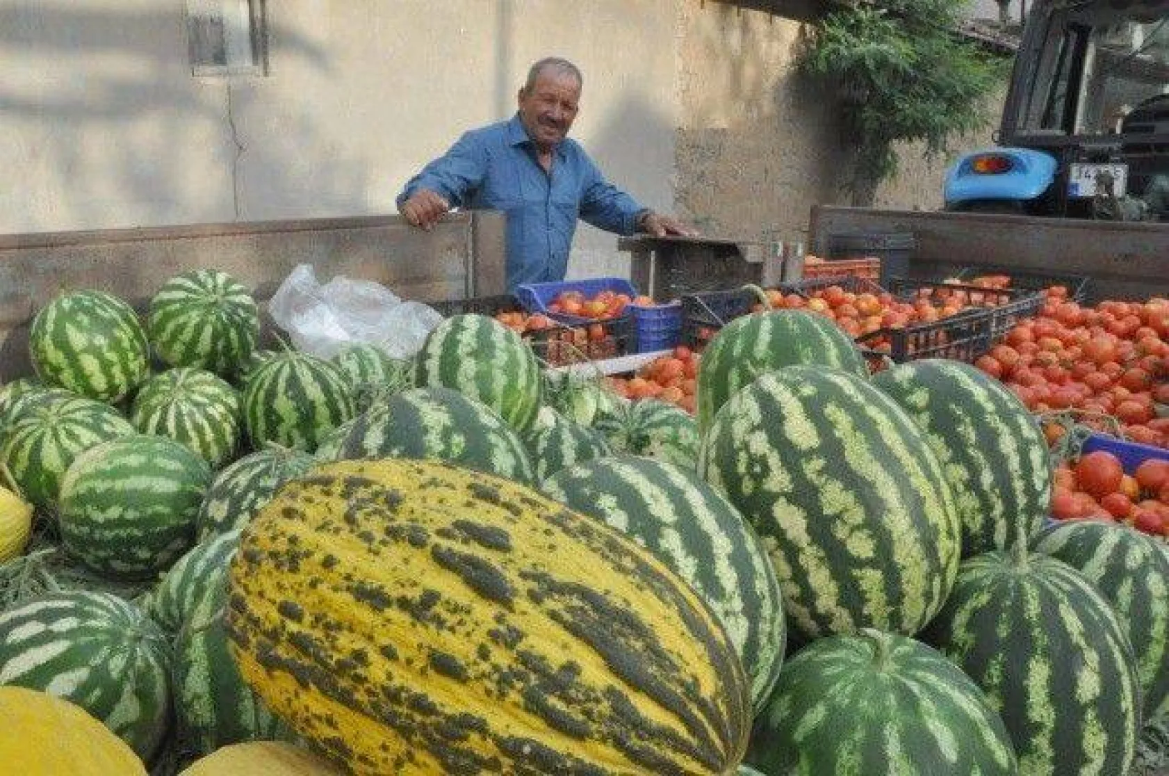 Kadıköy'de En İyi Karpuz Yarışması