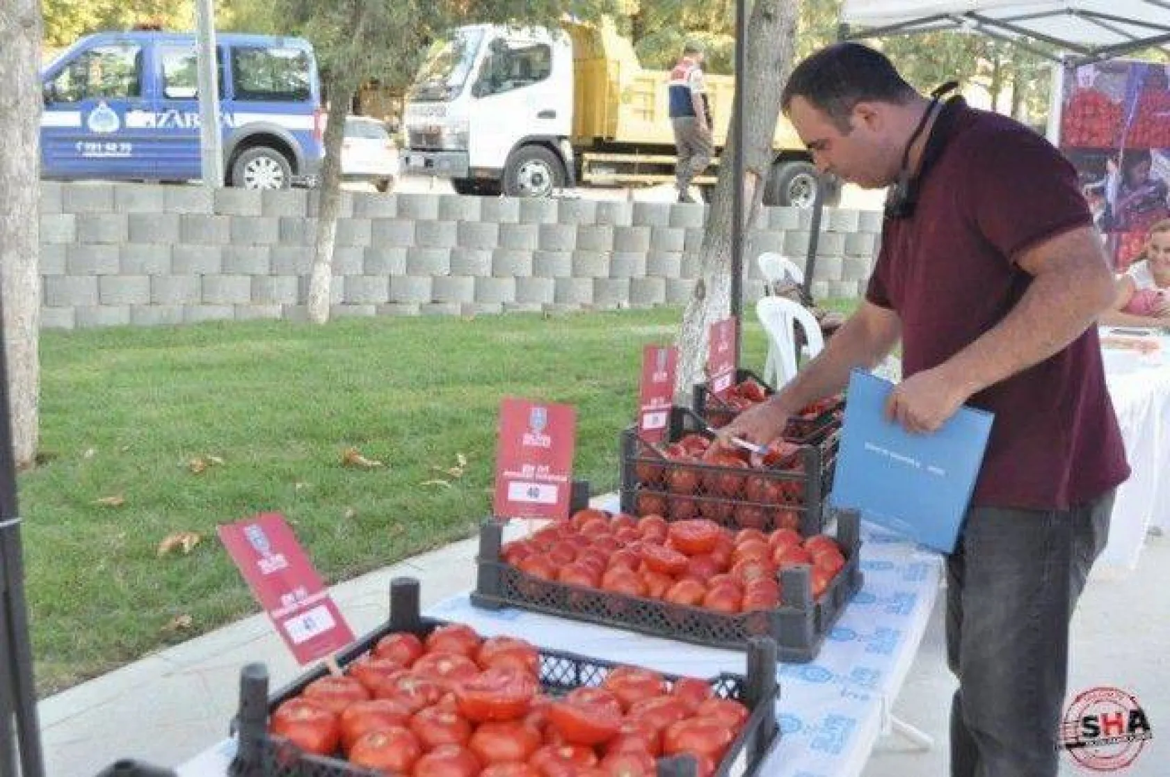En İyi Domates Seçildi