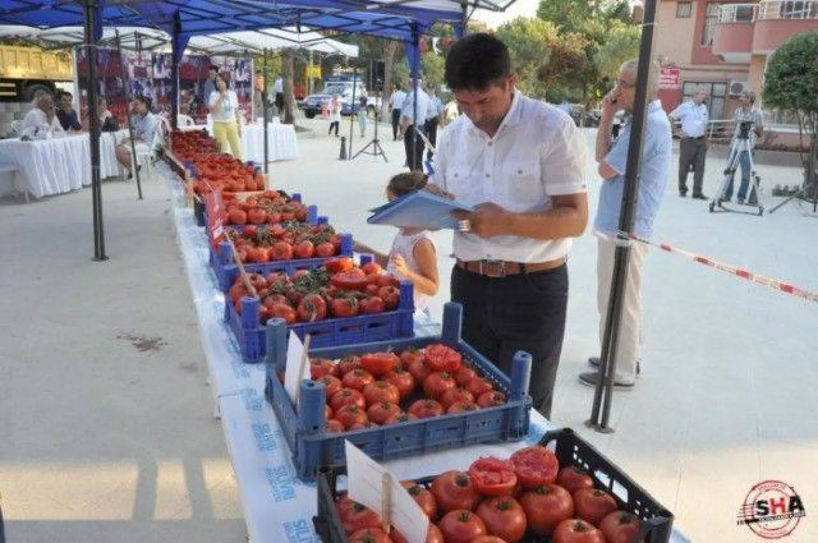 En İyi Domates Seçildi