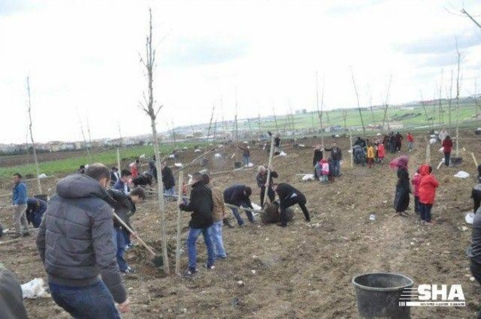 Samsunlulardan Silivri'ye 19 Mayıs Atatürk Hatıra Korusu