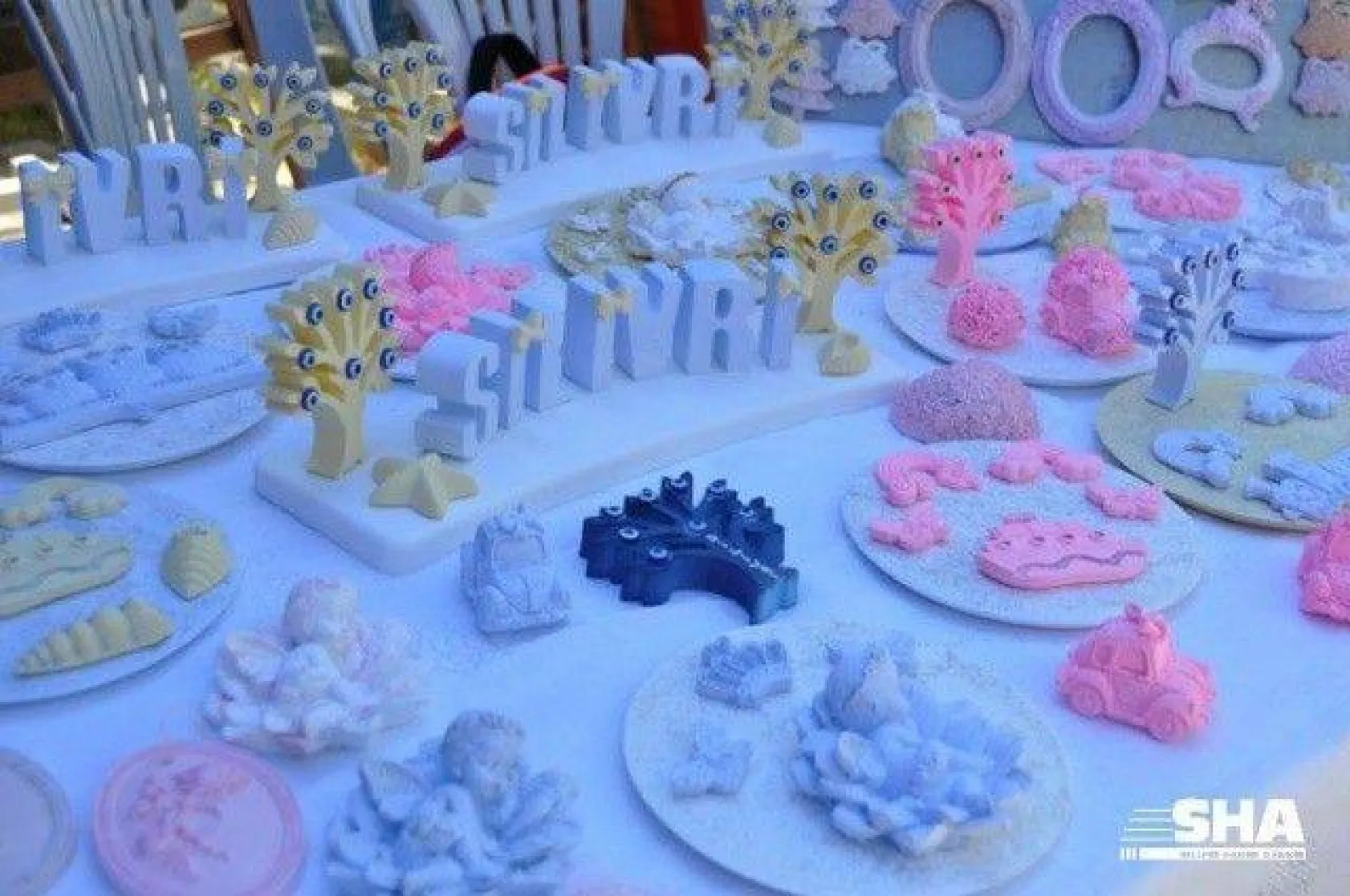 Özel Öğrencilere Özel Sergi