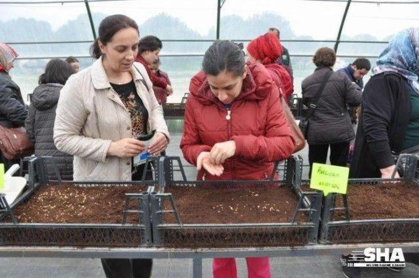 Silivri'de Yaşayan Engelliler Tarımsal Üretim Yapacak