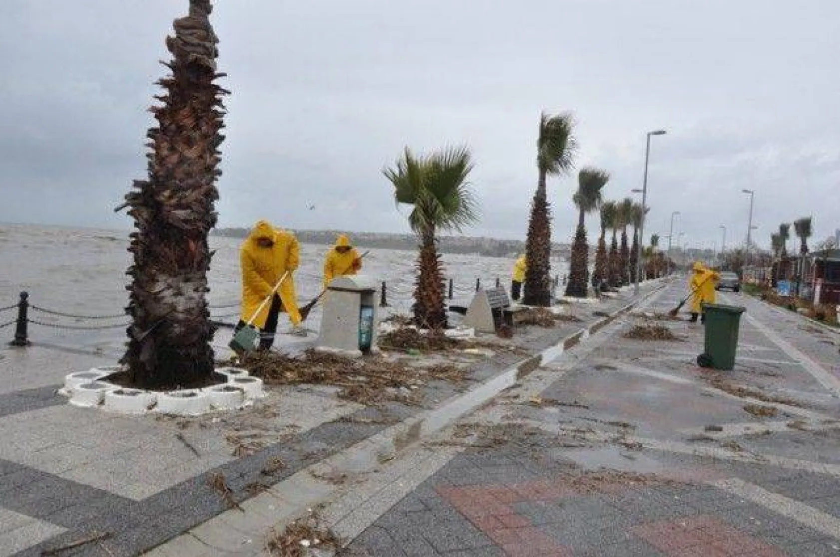 Belediyeden Lodos Mesaisi