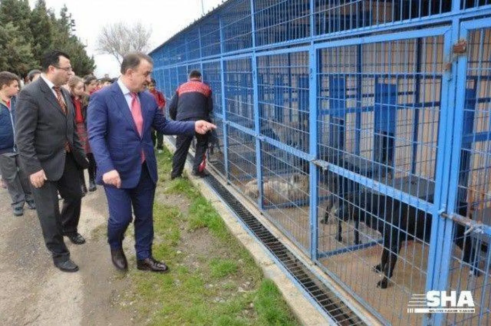 Ekmeklerini Barınaktaki Hayvanlarla Paylaştılar