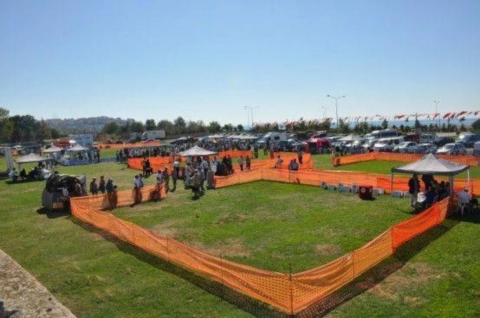 9 Ülkeden 290 Köpek Yarıştı