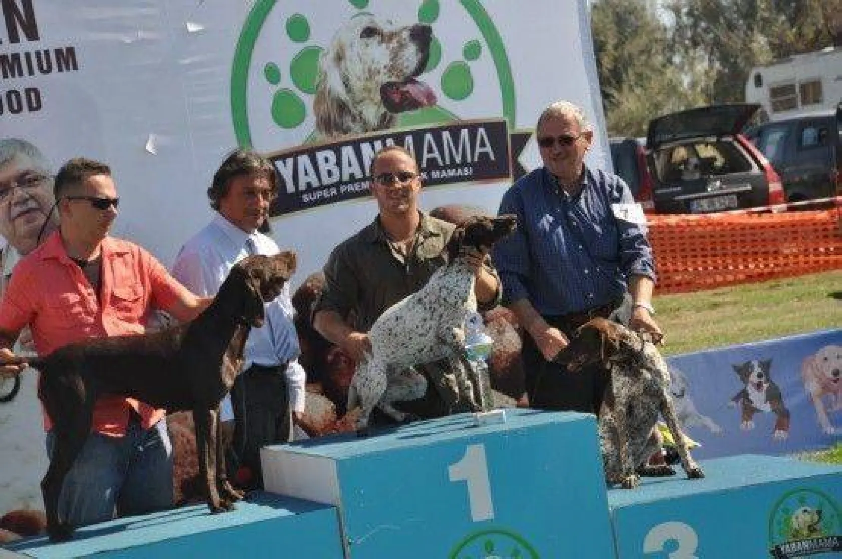 9 Ülkeden 290 Köpek Yarıştı