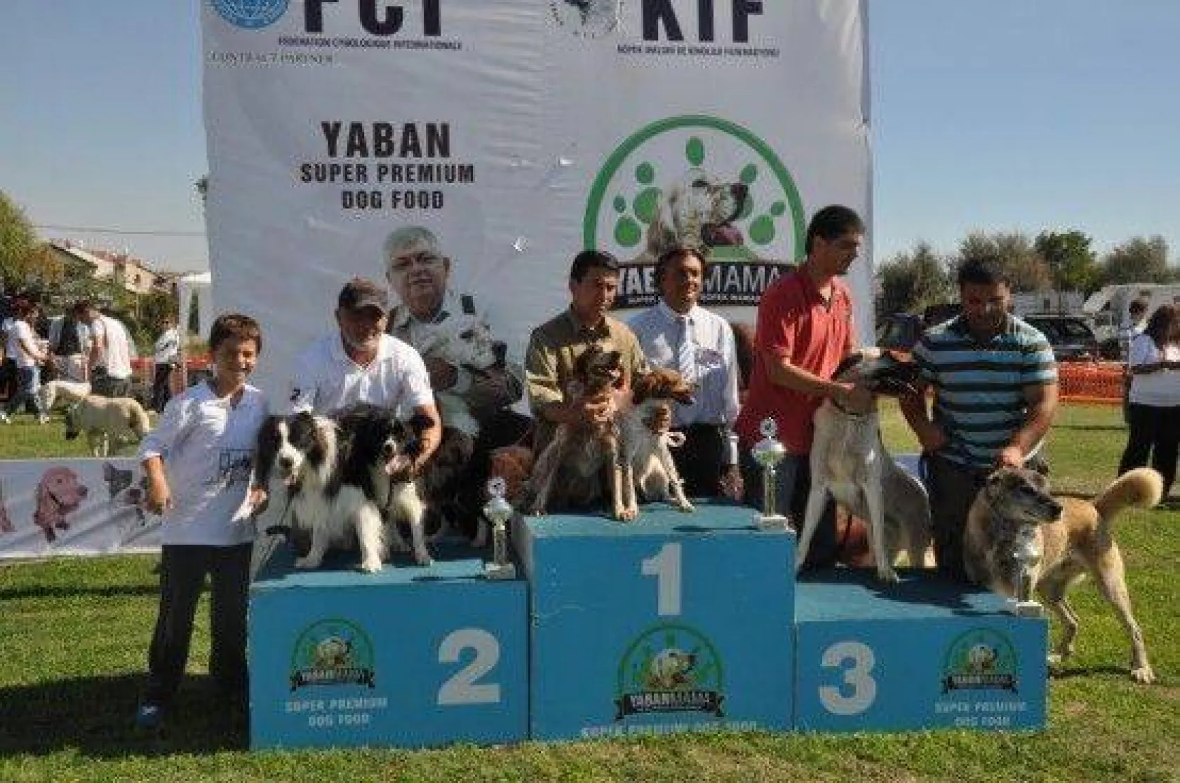 9 Ülkeden 290 Köpek Yarıştı