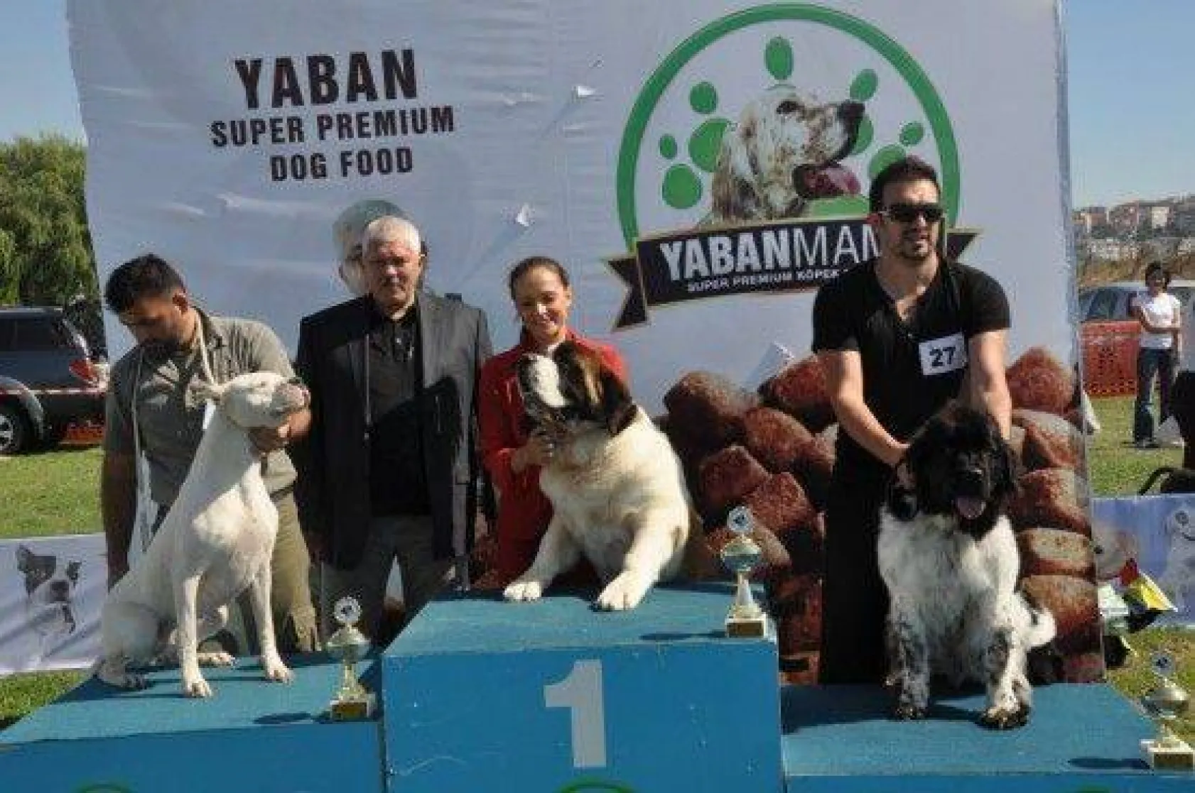 9 Ülkeden 290 Köpek Yarıştı