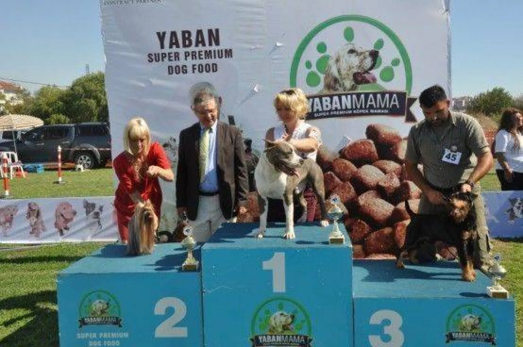 9 Ülkeden 290 Köpek Yarıştı