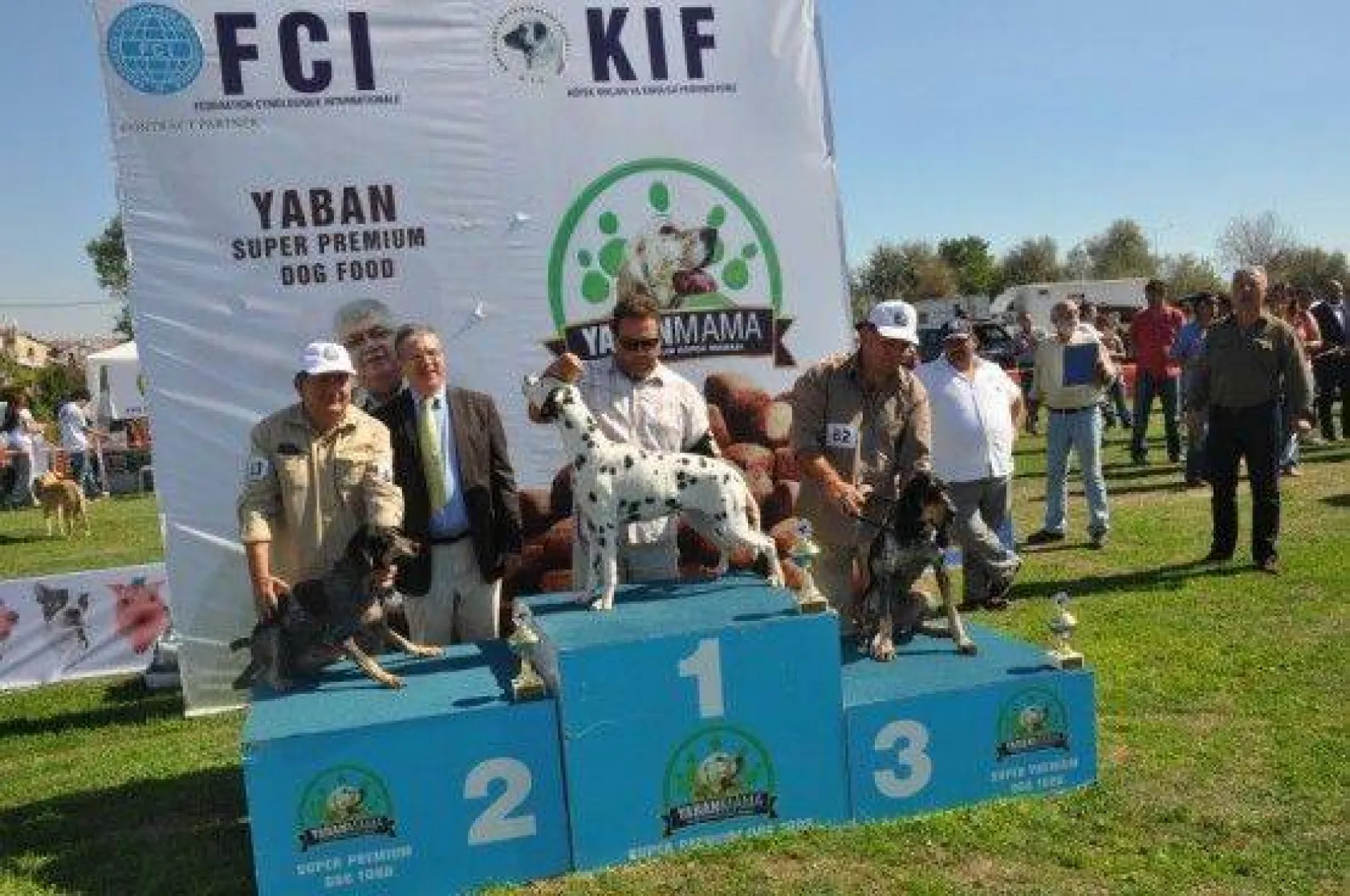 9 Ülkeden 290 Köpek Yarıştı