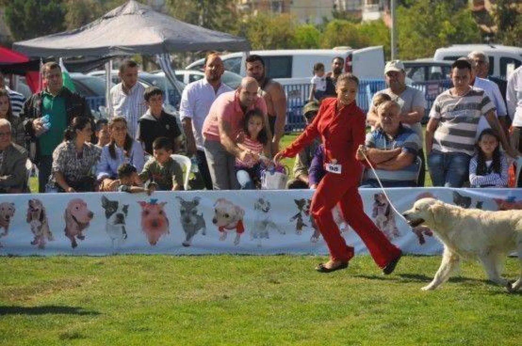 9 Ülkeden 290 Köpek Yarıştı