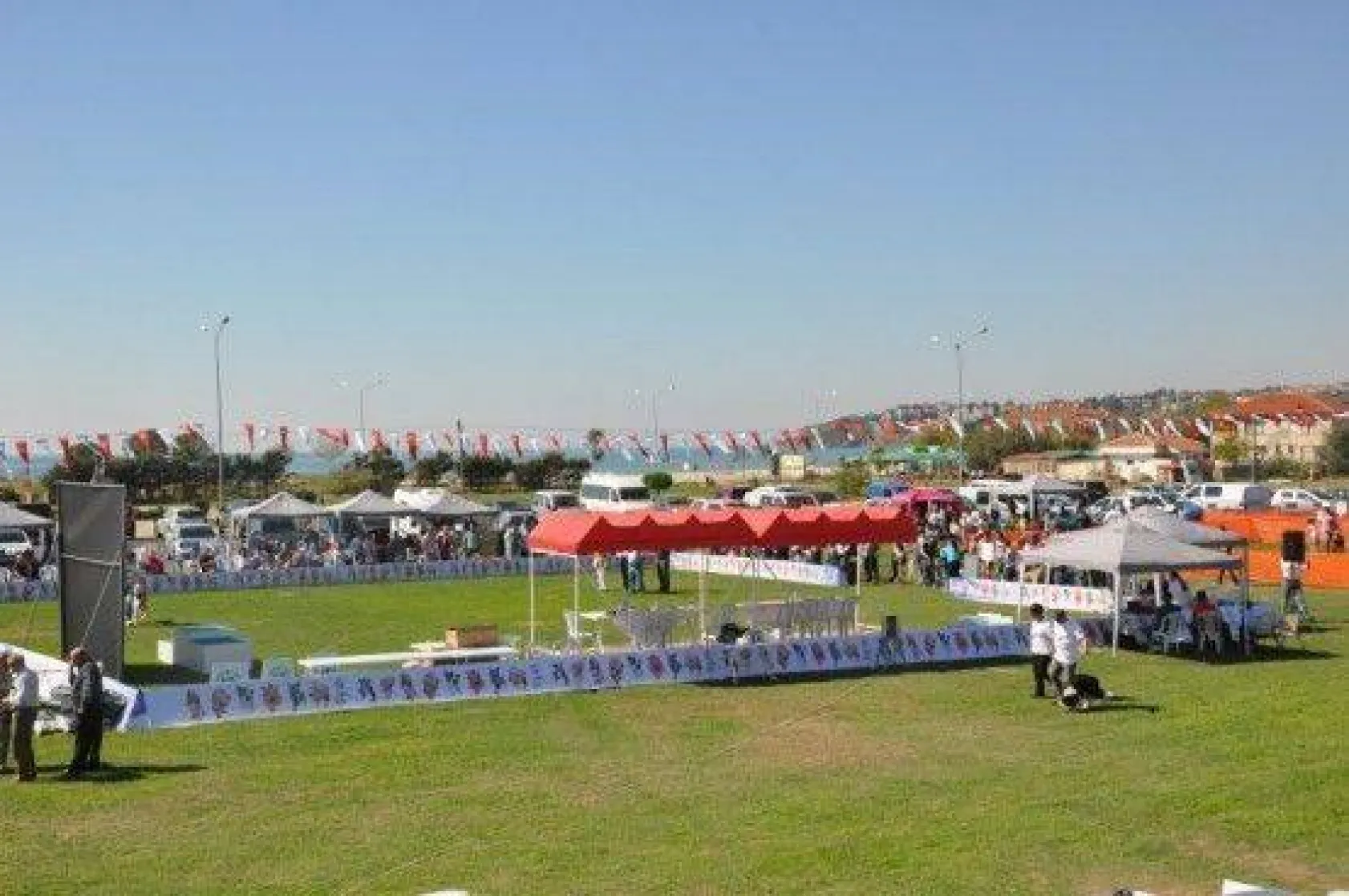 9 Ülkeden 290 Köpek Yarıştı