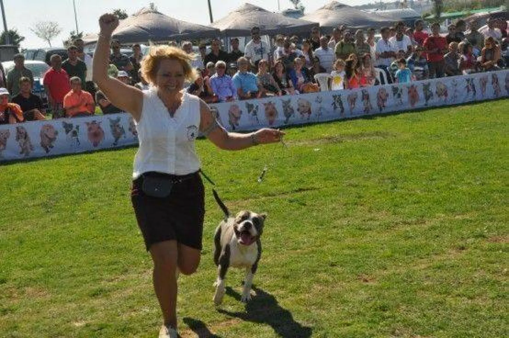 9 Ülkeden 290 Köpek Yarıştı