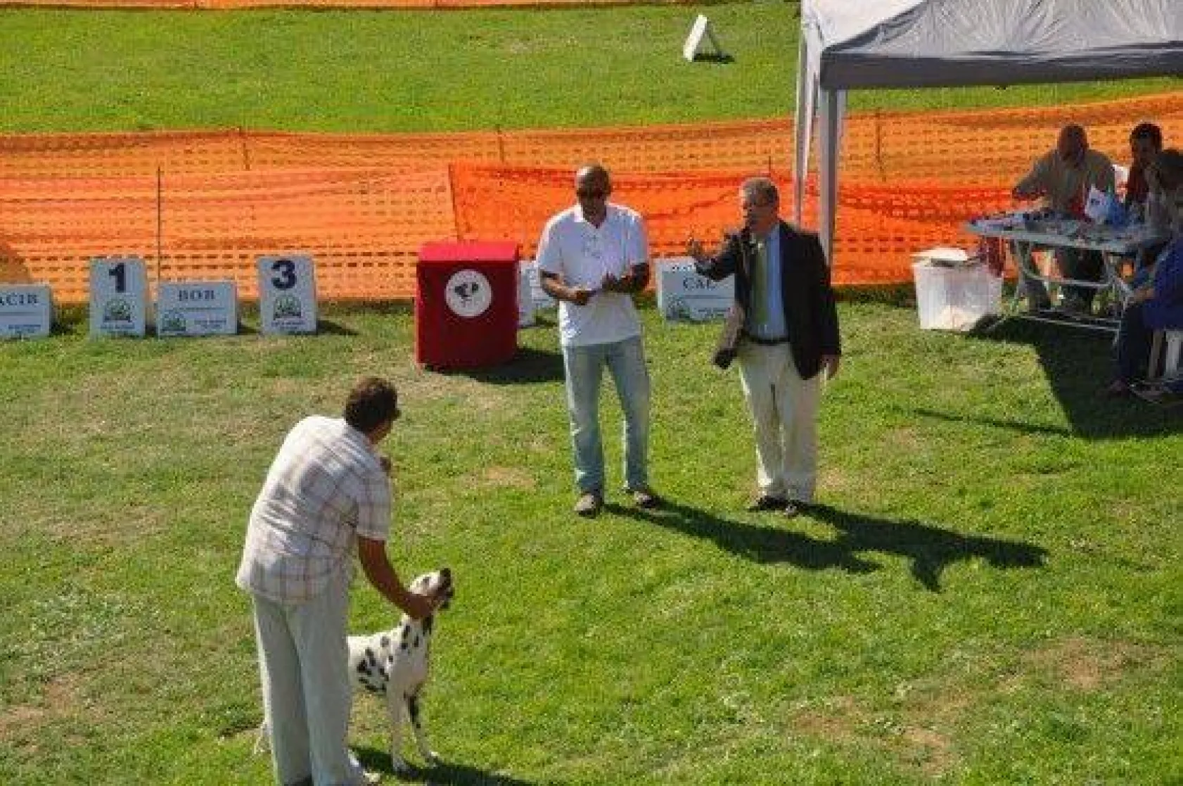 9 Ülkeden 290 Köpek Yarıştı