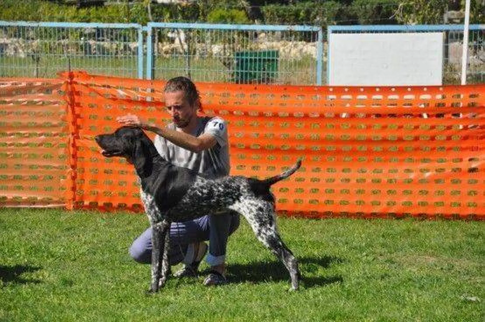 9 Ülkeden 290 Köpek Yarıştı
