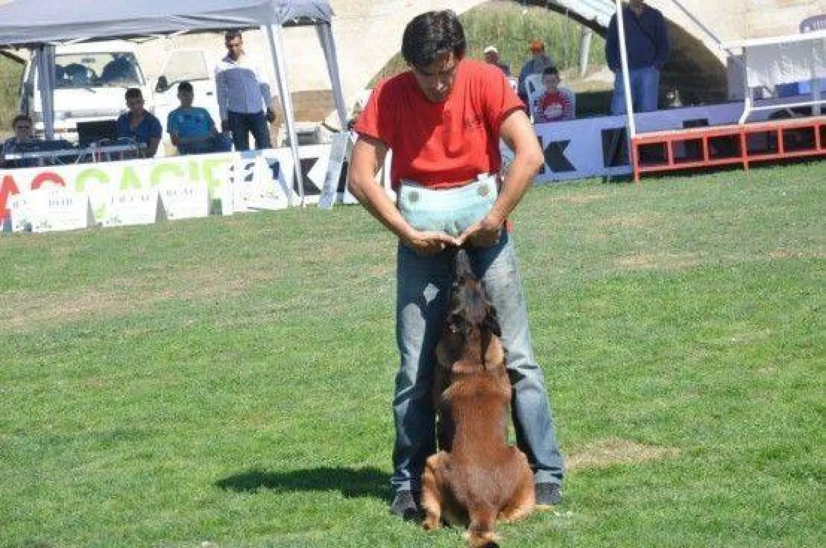 9 Ülkeden 290 Köpek Yarıştı