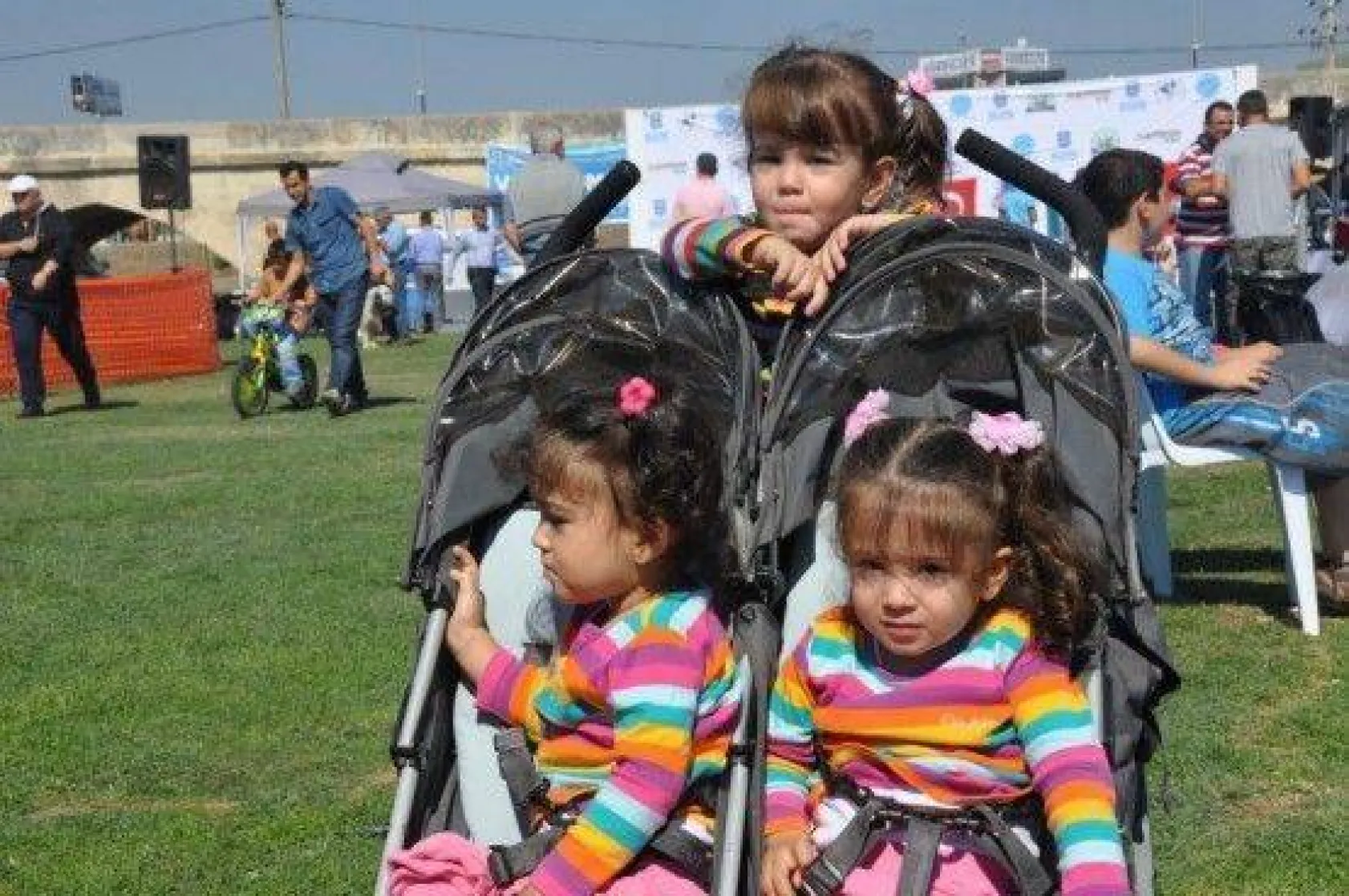 9 Ülkeden 290 Köpek Yarıştı