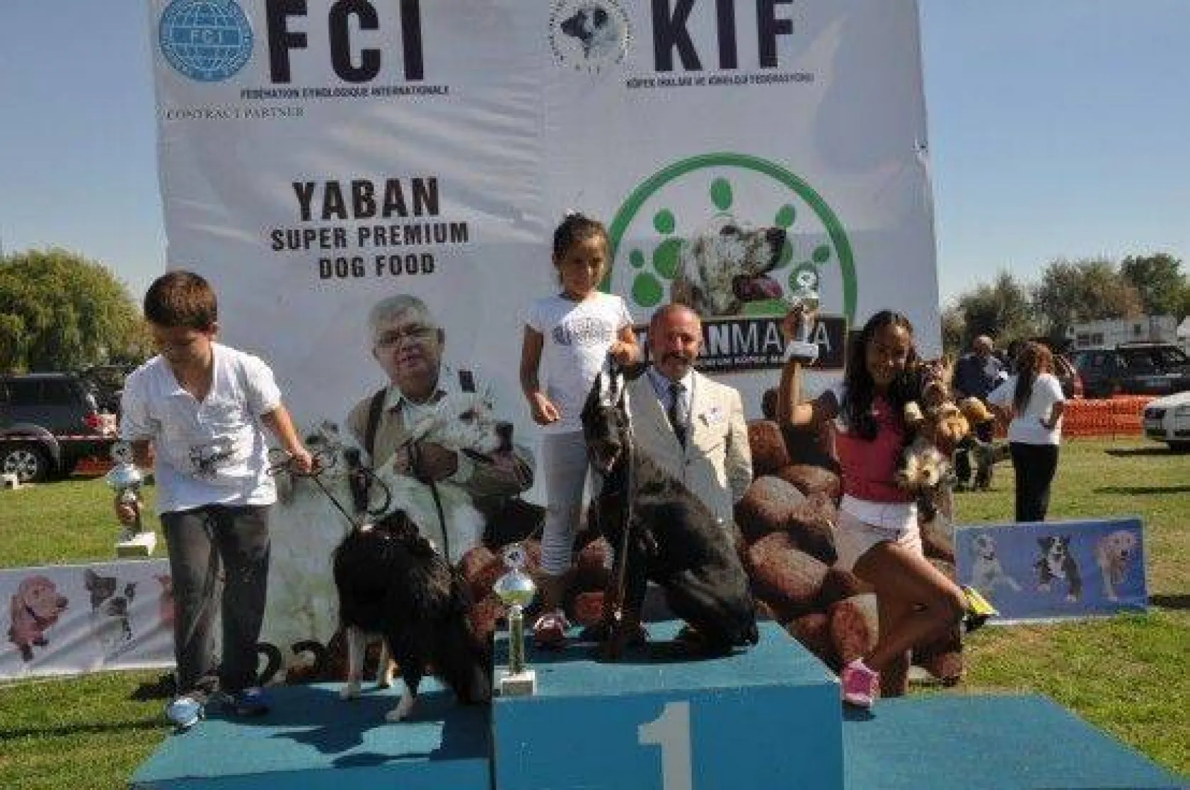 9 Ülkeden 290 Köpek Yarıştı