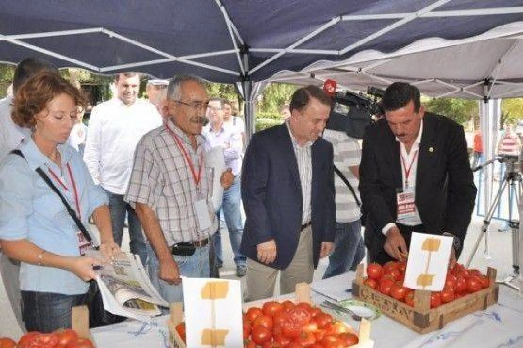 28.Değirmenköy Domates Festivali