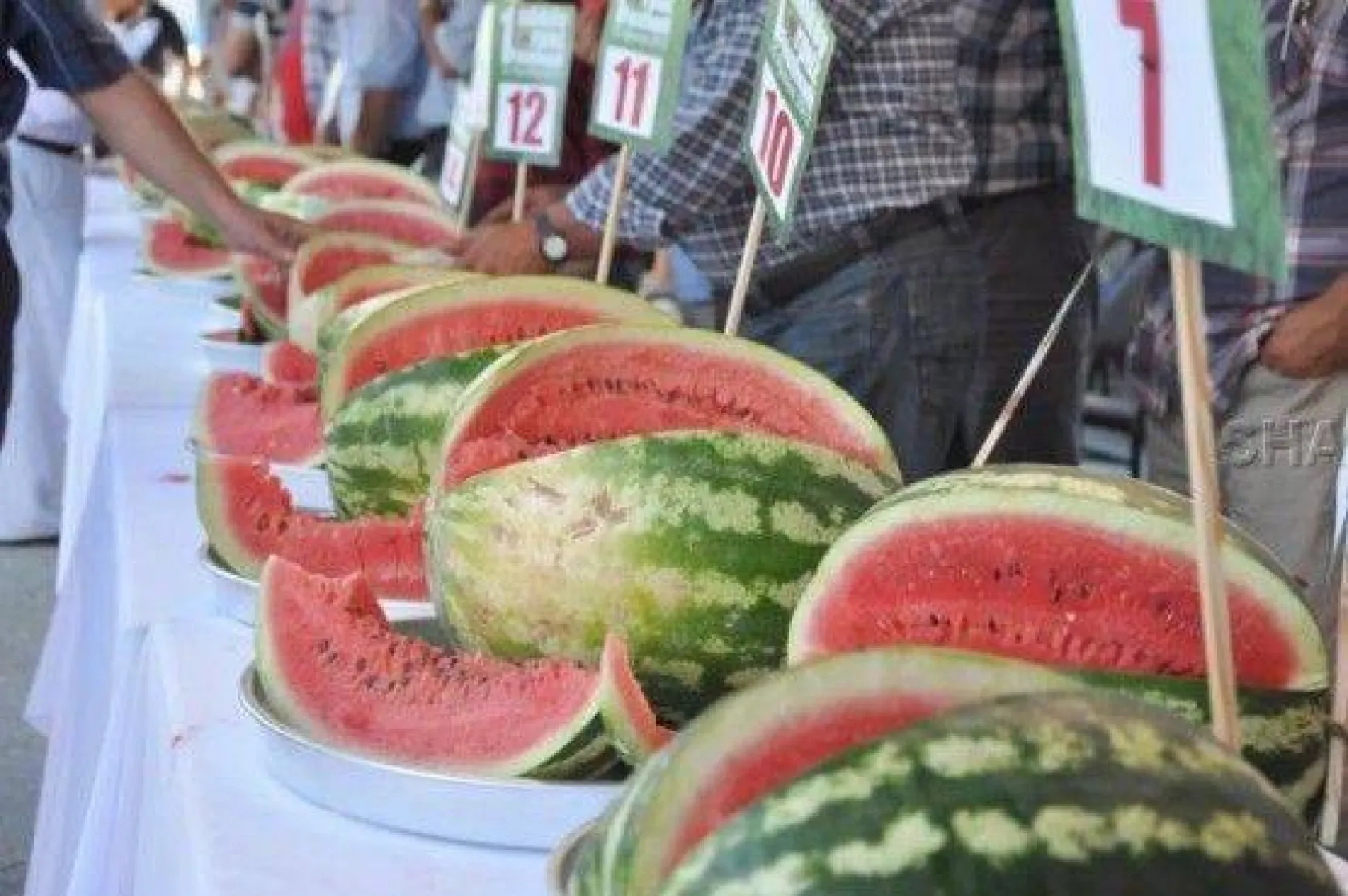 Karpuz Festivali İlkleri Yaşattı