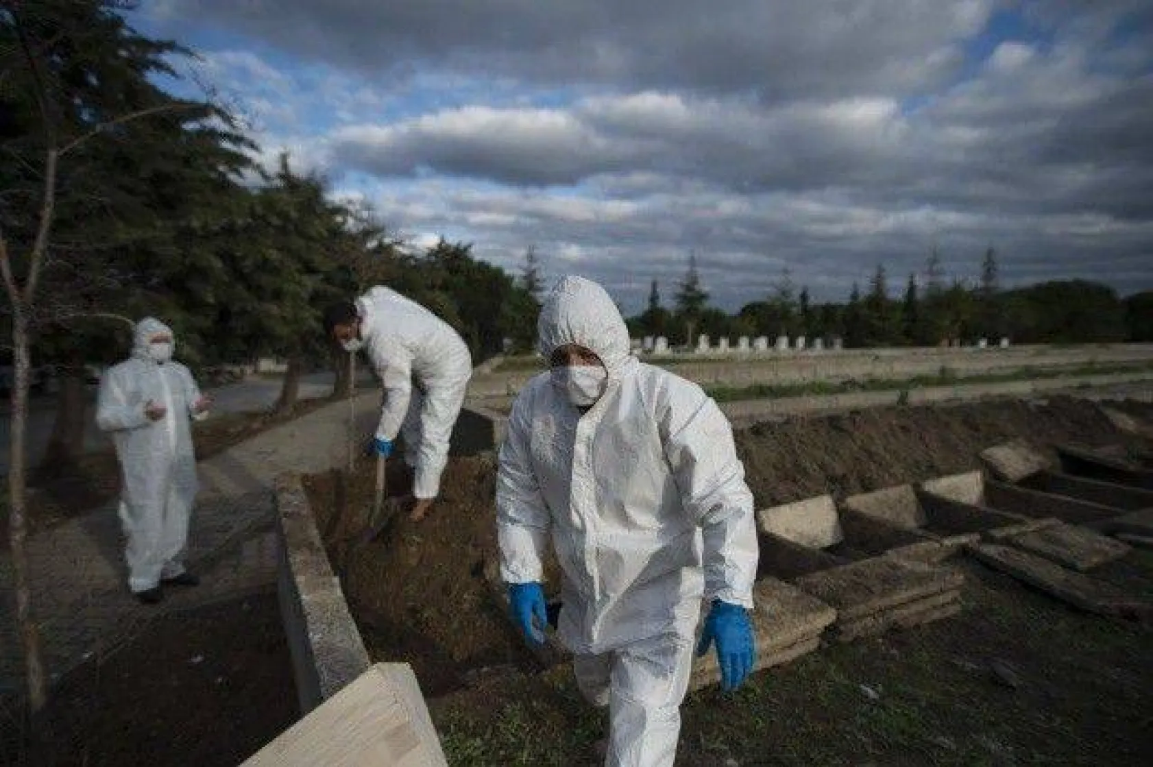 Koronavirüs definleri görüntülendi