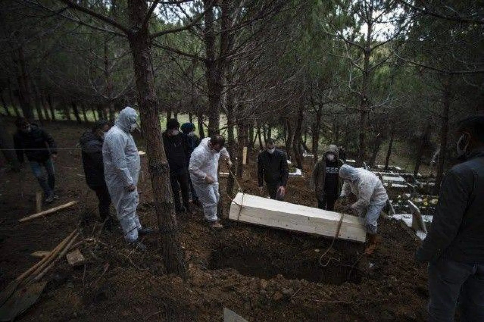 Koronavirüs definleri görüntülendi