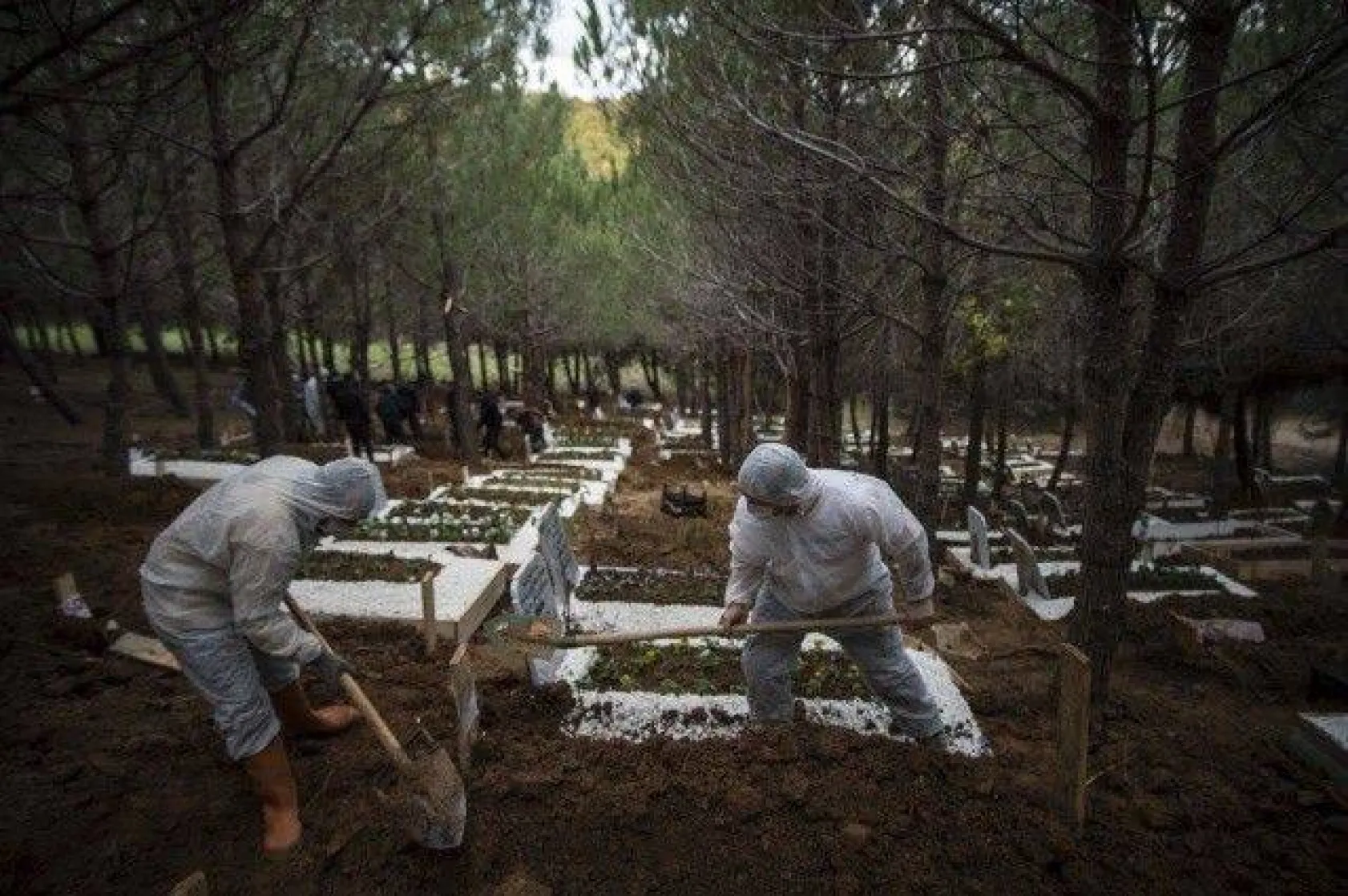 Koronavirüs definleri görüntülendi