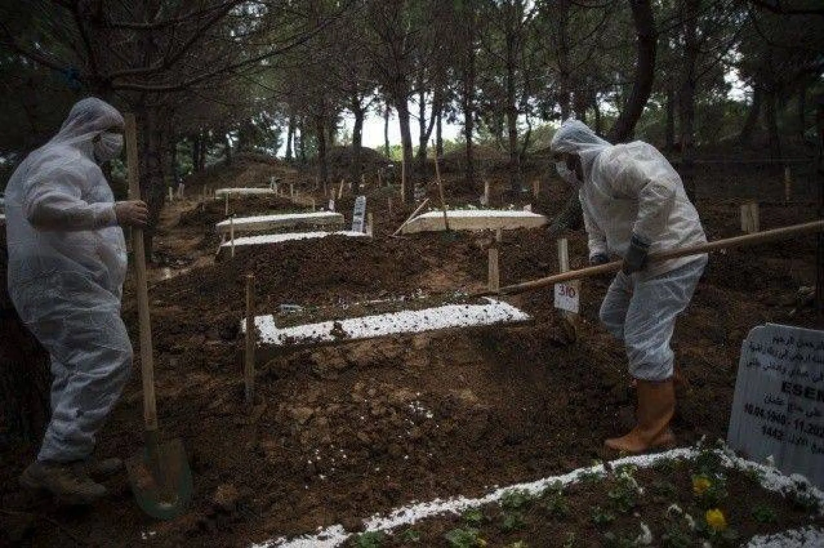 Koronavirüs definleri görüntülendi