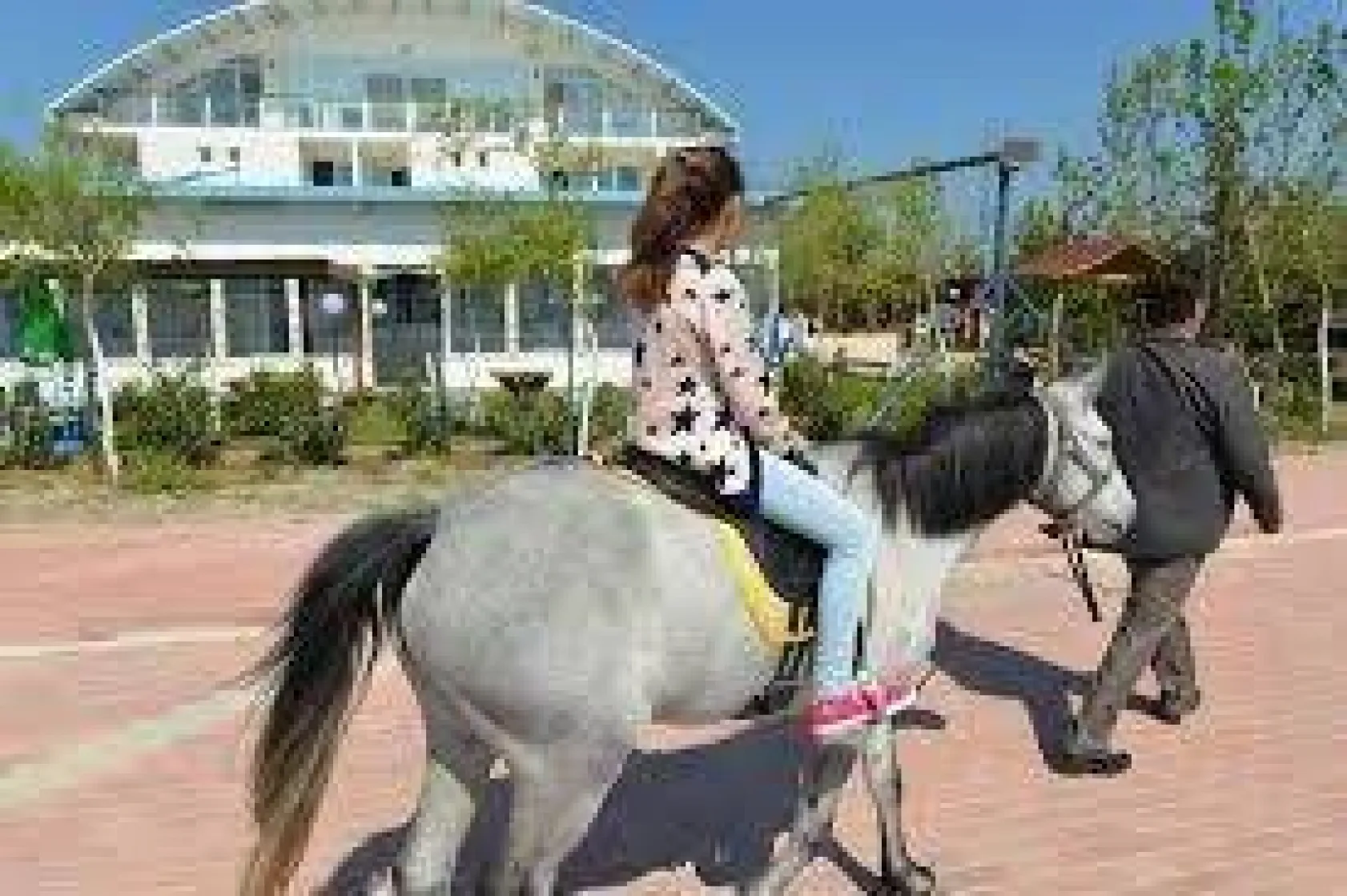 'Mavi Çatı' yenilenen yüzüyle hizmete girdi