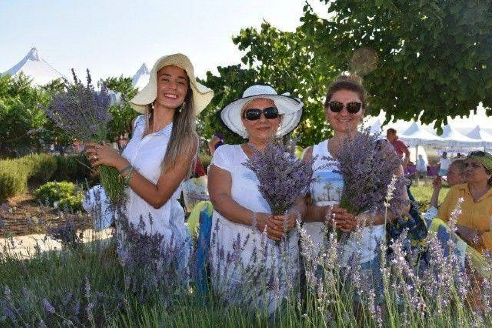 Silivri'de Görkemli Lavanta Şenliği