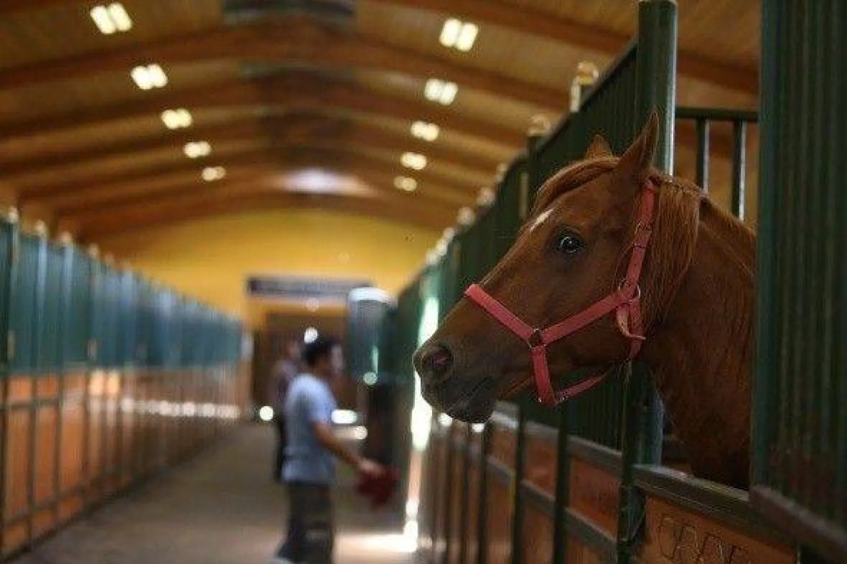 Efsane babaların efsane oğulları