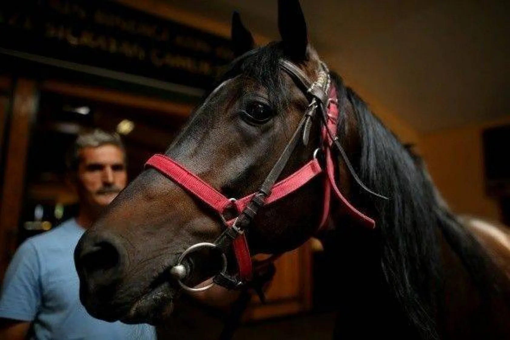 Efsane babaların efsane oğulları