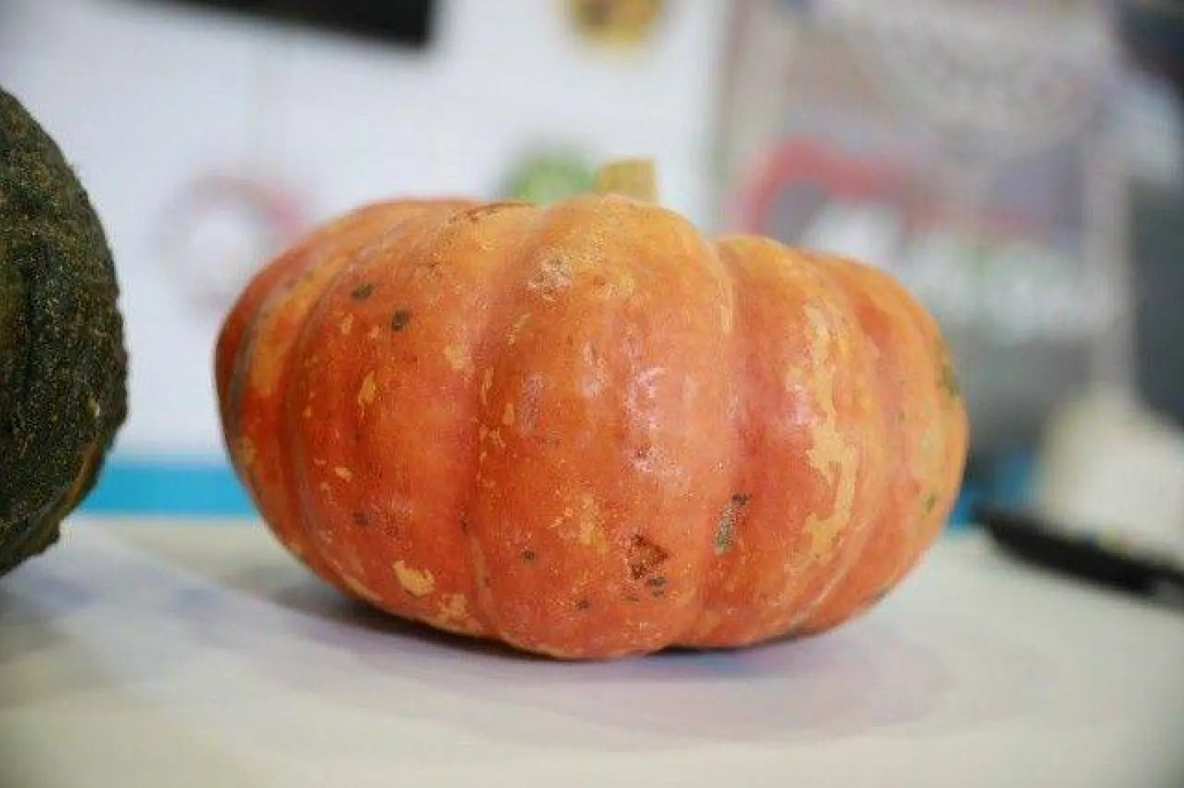 Uluslararası Fuarda Silivri Belediyesi'ne Yoğun İlgi