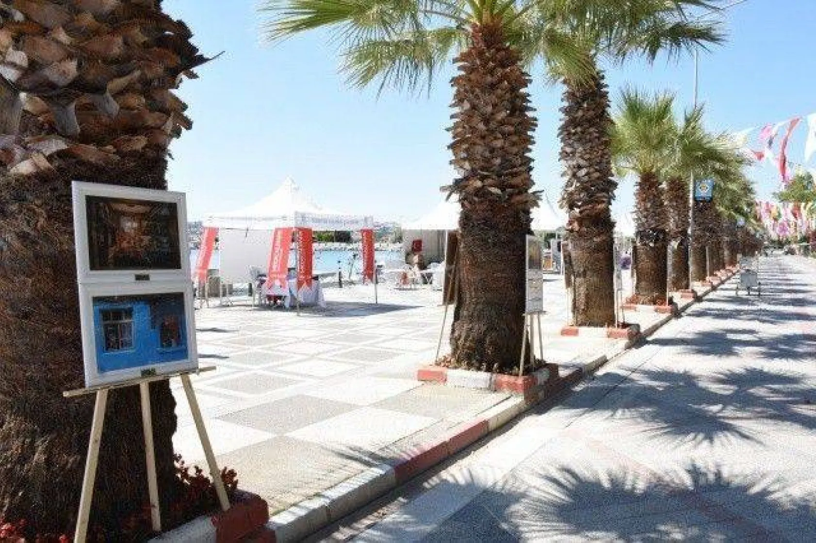 Silivri Konulu En Güzel Fotoğraf Ödülü Kaptı